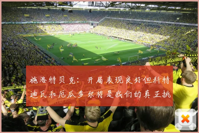 施洛特贝克：开局表现良好但科特迪瓦和厄瓜多尔将是我们的真正挑战