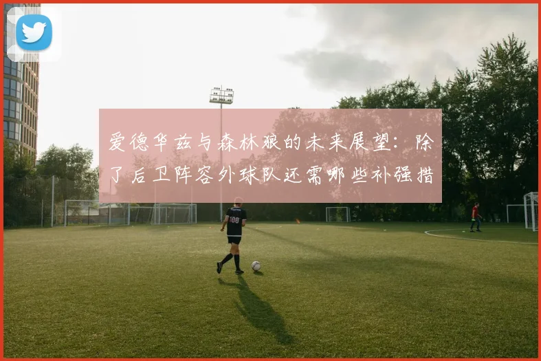爱德华兹与森林狼的未来展望：除了后卫阵容外球队还需哪些补强措施