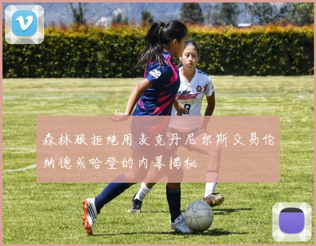 森林狼拒绝用麦克丹尼尔斯交易伦纳德或哈登的内幕揭秘